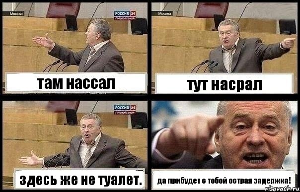 там нассал тут насрал здесь же не туалет. да прибудет с тобой острая задержка!, Комикс с Жириновским