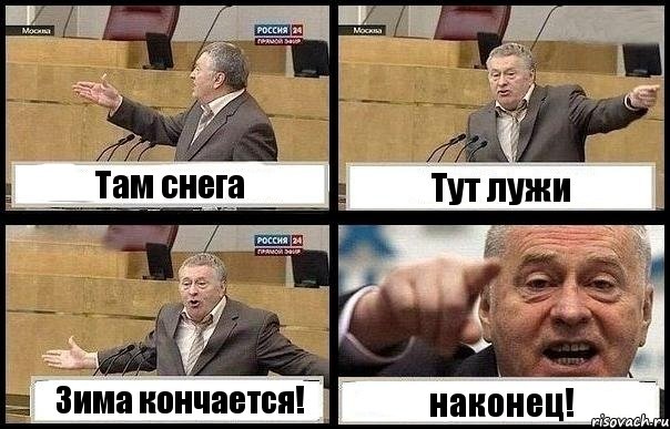 Там снега Тут лужи Зима кончается! наконец!, Комикс с Жириновским