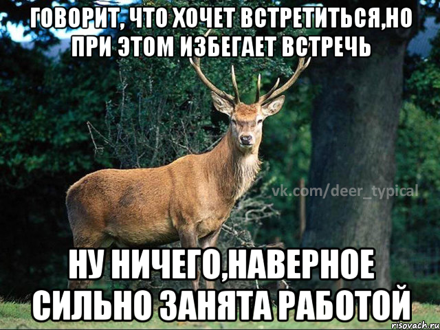 Видимо не сильно текст. Хочется увидеться. Сильно занята. Сильно занят картинки. Хочу увидеться.