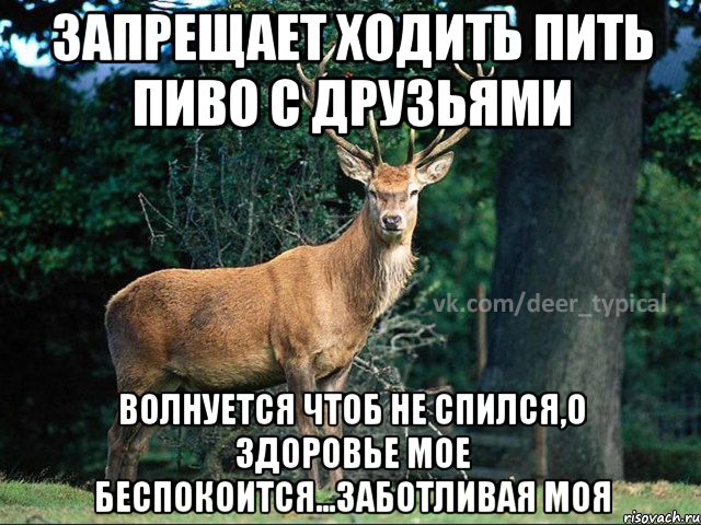 Ходил и пил. Типичный олень. Друг это не тот с кем ты ходишь пить. Заботливый мой. Идем пить.