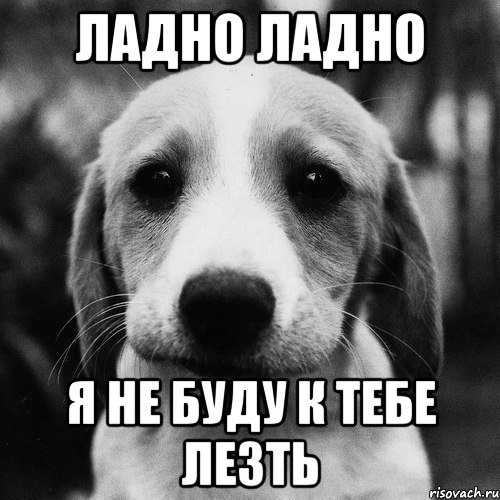 Мемы просто фото