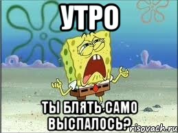 утро ты блять само выспалось?, Мем Спанч Боб плачет