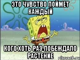 Это чувство поймет каждый кого хоть раз побеждало растение, Мем Спанч Боб плачет