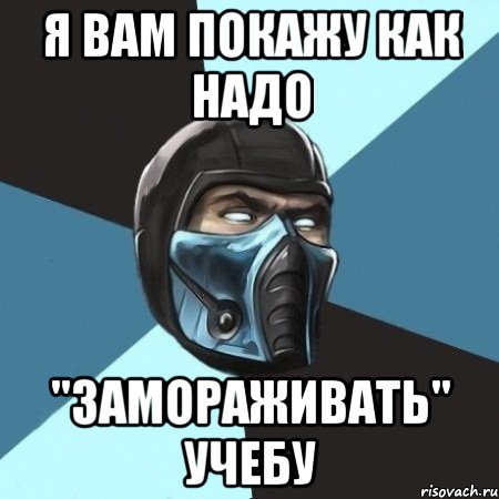 Я вам покажу как надо "Замораживать" учебу, Мем Саб-Зиро