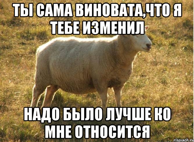 Ты сама виновата,что я тебе изменил Надо было лучше ко мне относится, Мем Типичная овца