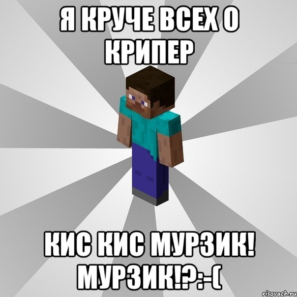 я круче всех о крипер кис кис Мурзик! Мурзик!?:-(, Мем Типичный игрок Minecraft