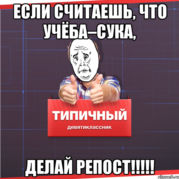 Если считаешь, что учёба–СУКА, Делай репост!!!!!, Мем Типичный десятиклассник