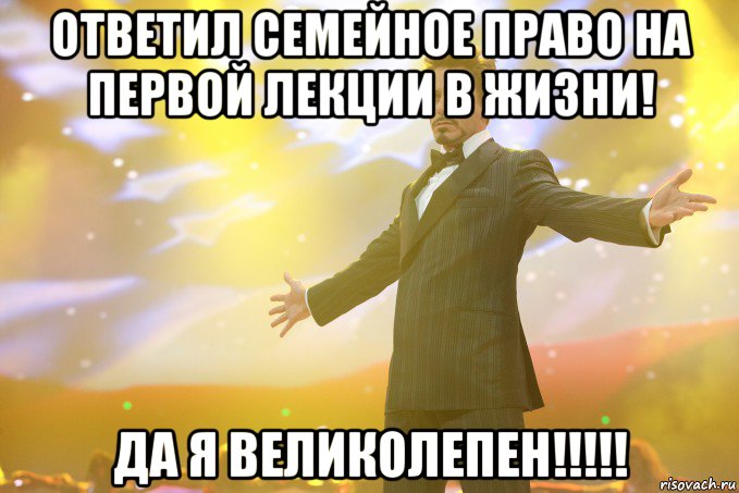 Ответил Семейное право на первой лекции в жизни! Да я великолепен!!!!!, Мем Тони Старк (Роберт Дауни младший)