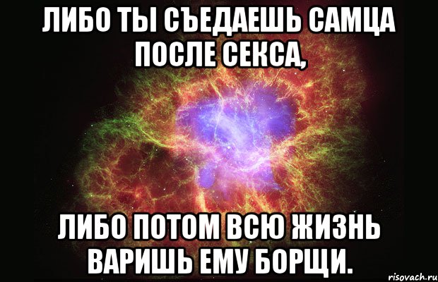 Либо ты съедаешь самца после секса, либо потом всю жизнь варишь ему борщи., Мем Туманность