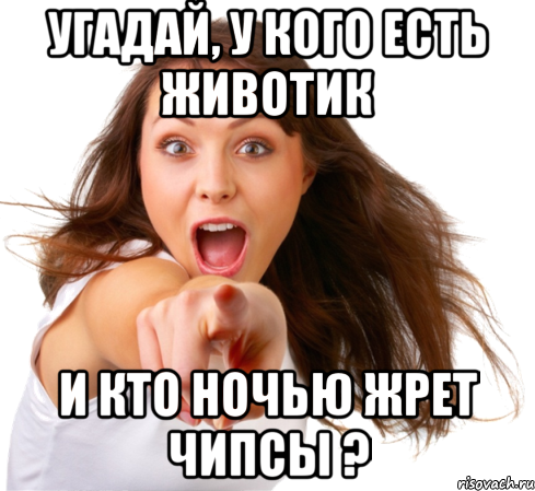 угадай, у кого есть животик и кто ночью жрет чипсы ?