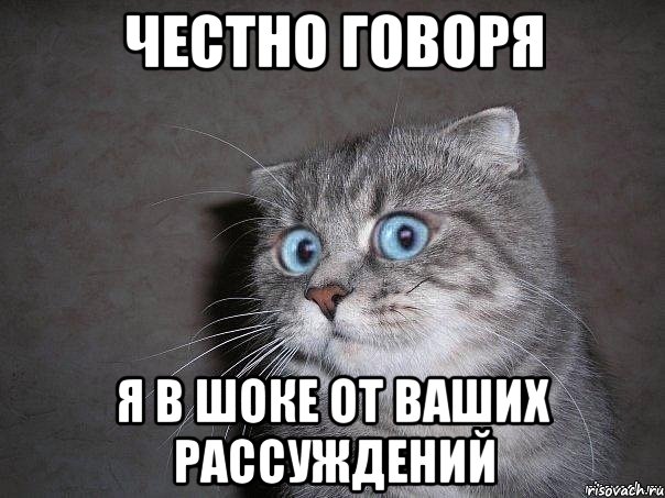 http://risovach.ru/upload/2014/02/mem/udivlyonnyy-kot_42694090_orig_.jpeg