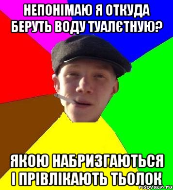 непонімаю я откуда беруть воду туалєтную? Якою набризгаються і прівлікають тьолок, Мем умный гопник