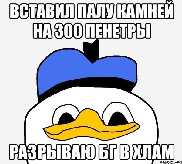 Вставил палу камней на 300 пенетры разрываю бг в хлам, Мем Утка