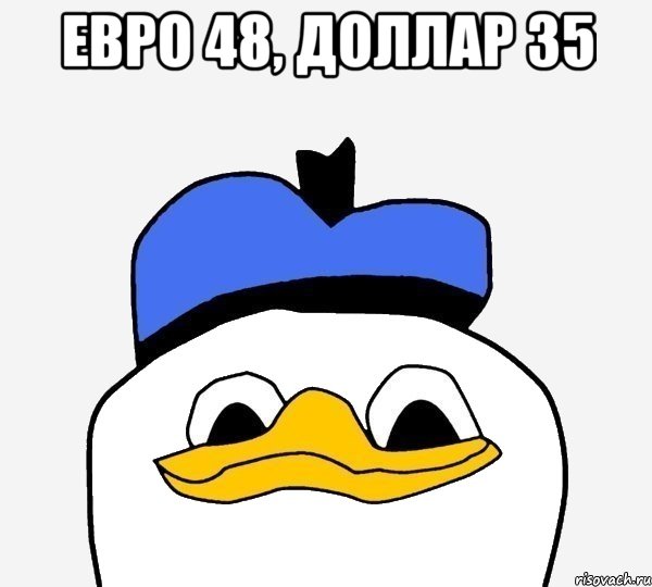 ЕВРО 48, ДОЛЛАР 35 , Мем Утка
