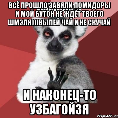 Завяли помидоры. Прошла любовь завяли помидоры сандали жмут и нам не по пути.