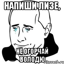 напиши лизе, не огорчай володю, Мем  Володя Путин