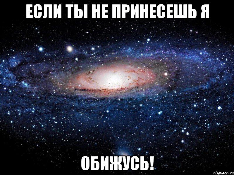 ЕСЛИ ТЫ НЕ ПРИНЕСЕШЬ Я ОБИЖУСЬ!, Мем Вселенная