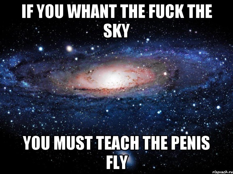 IF you whant the fuck the sky you must teach the penis fly, Мем Вселенная