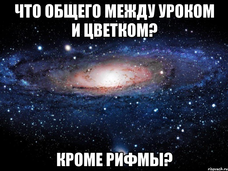 Что общего между уроком и цветком? Кроме рифмы?, Мем Вселенная