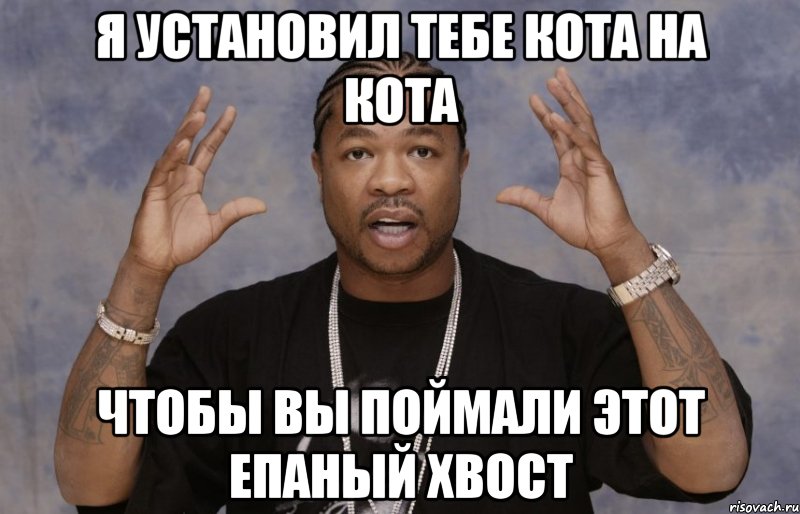 Я установил тебе кота на кота Чтобы вы поймали этот епаный хвост, Мем Xzibit