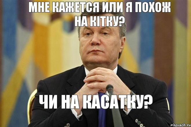 Мне кажется или я похож на КІТКУ? Чи на КАСАТКУ?, Мем  яник