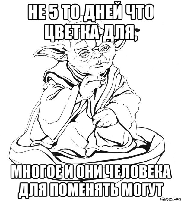 не 5 то дней что цветка для, многое и они человека для поменять могут, Мем Мастер Йода