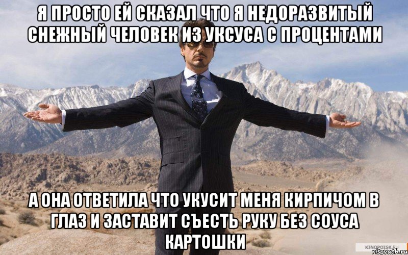 Я просто ей сказал что я недоразвитый снежный человек из уксуса с процентами А она ответила что укусит меня кирпичом в глаз и заставит съесть руку без соуса картошки, Мем железный человек