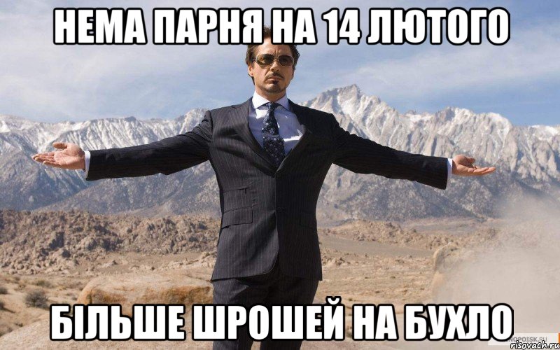 нема парня на 14 лютого більше шрошей на бухло, Мем железный человек