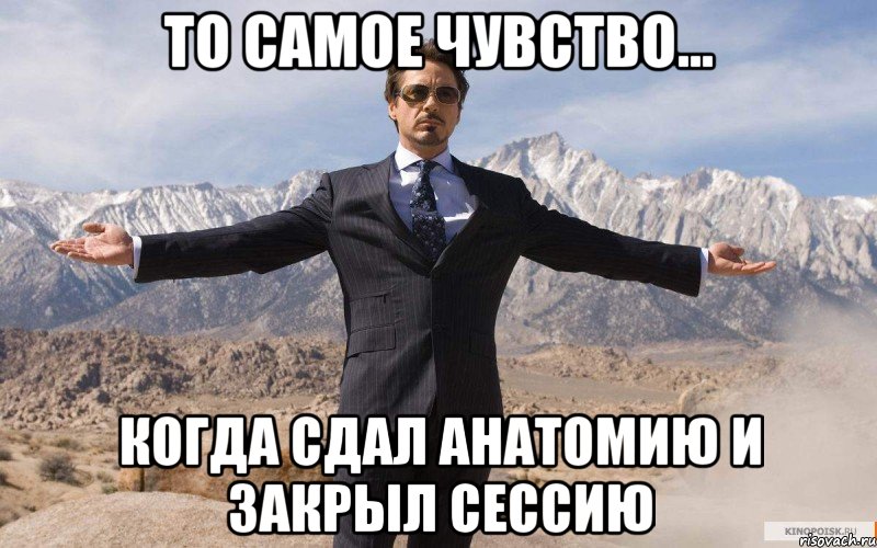 то самое чувство... когда сдал анатомию и закрыл сессию, Мем железный человек