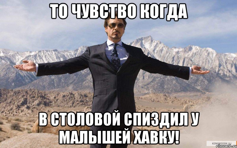 То чувство когда в столовой спиздил у малышей хавку!, Мем железный человек