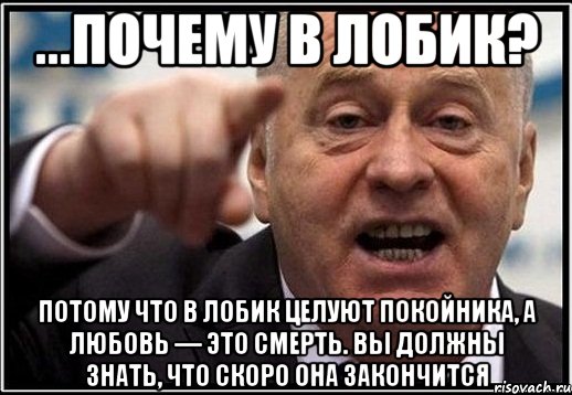 ...Почему в лобик? Потому что в лобик целуют покойника, а любовь — это смерть. Вы должны знать, что скоро она закончится, Мем жириновский ты