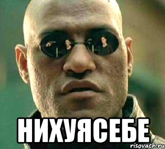 Мем нихуя. Нихуясе. Ну нихуясе. Картинка нихуясе. Ну нихуясе Мем.