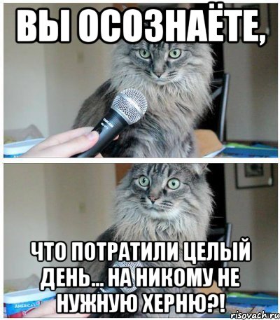 Вы осознаёте, что потратили целый день... на НИКОМУ не нужную ХЕРНЮ?!, Комикс  кот с микрофоном