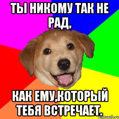 Ты никому так не рад, как ему,который тебя встречает., Мем Advice Dog