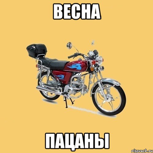 Весна пацаны, Мем альфа