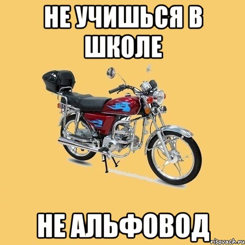 НЕ УЧИШЬСЯ В ШКОЛЕ НЕ АЛЬФОВОД