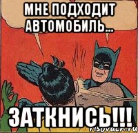 Мне подходит автомобиль... Заткнись!!!, Комикс   Бетмен и Робин