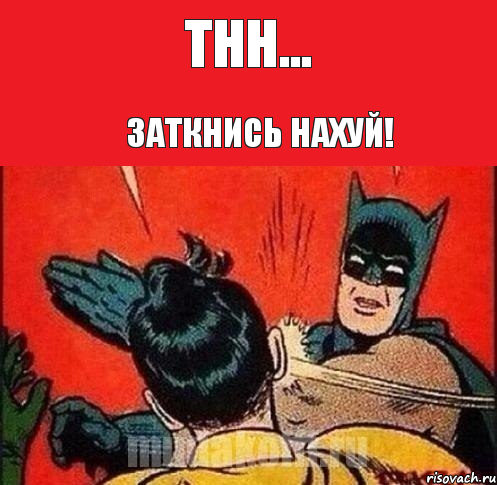 ТНН... Заткнись нахуй!, Комикс   Бетмен и Робин