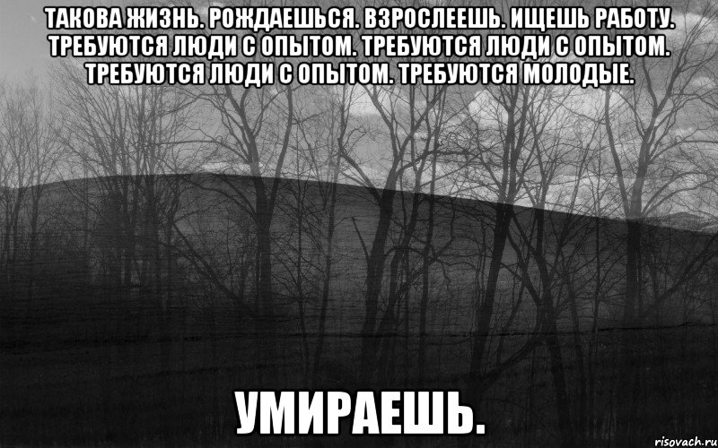 Такова жизнь. Рождаешься. Взрослеешь. Ищешь работу. Требуются люди с опытом. Требуются люди с опытом. Требуются люди с опытом. Требуются молодые. Умираешь.