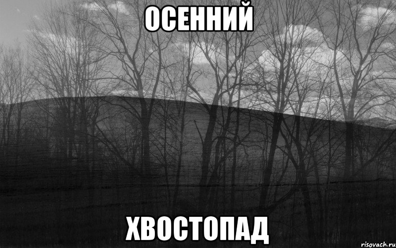 Осенний Хвостопад