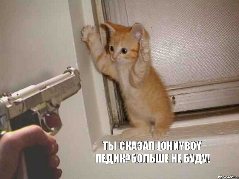 Ты сказал Johnyboy педик?Больше не буду!, Комикс больше не буду