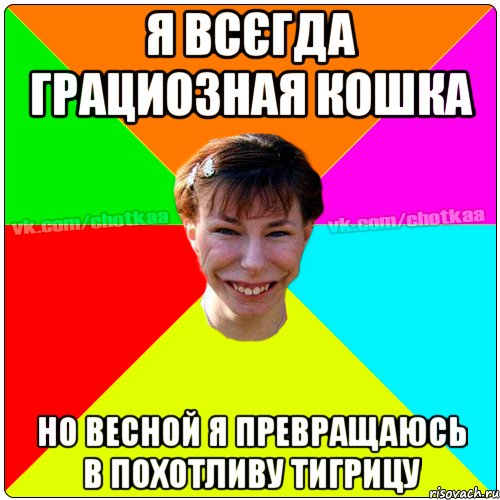 я всєгда грациозная кошка но весной я превращаюсь в похотливу тигрицу, Мем Чотка тьола NEW