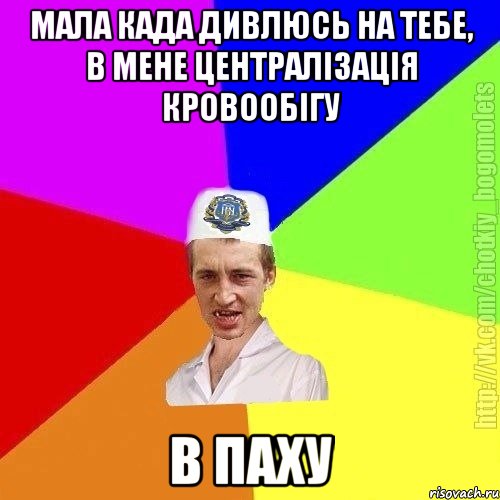 мала када дивлюсь на тебе, в мене централізація кровообігу в паху, Мем Чоткий пацан