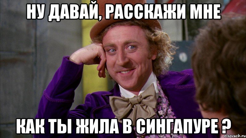 НУ ДАВАЙ, РАССКАЖИ МНЕ КАК ТЫ ЖИЛА В СИНГАПУРЕ ?, Мем Ну давай расскажи (Вилли Вонка)