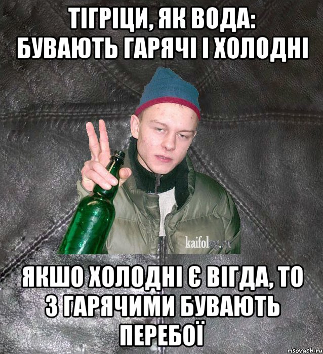 тігріци, як вода: бувають гарячі і холодні якшо холодні є вігда, то з гарячими бувають перебої, Мем Дерзкий