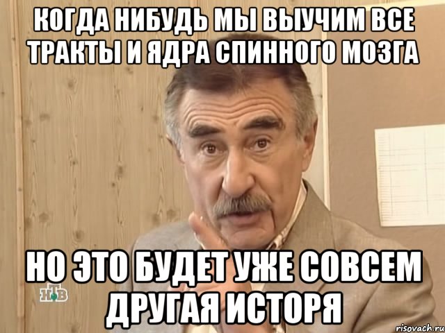 Когда нибудь мы выучим все тракты и ядра спинного мозга но это будет уже совсем другая исторя, Мем Каневский (Но это уже совсем другая история)