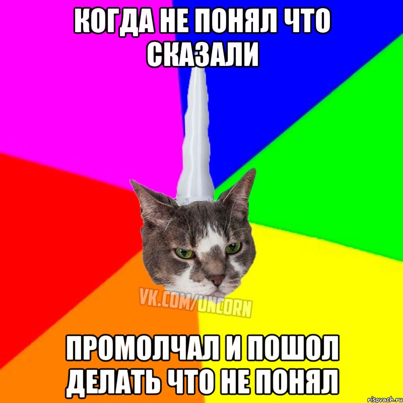 Когда не понял что сказали Промолчал и пошол делать что не понял, Мем  Единорог