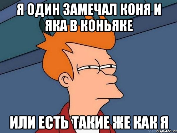 я один замечал коня и яка в коньяке или есть такие же как я, Мем  Фрай (мне кажется или)