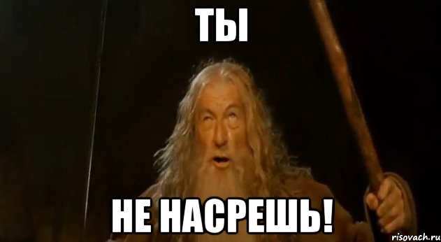 ТЫ НЕ НАСРЕШЬ!, Мем Гендальф (Ты не пройдешь)