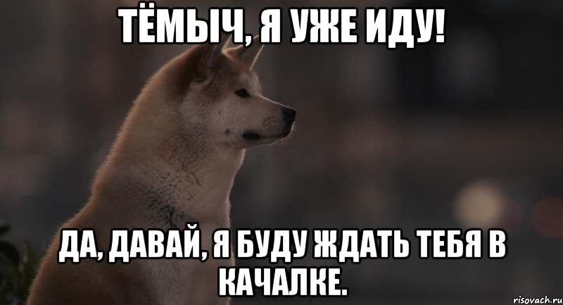 Ну что будем ждать. Хатико Мем. Хатико ждет Мем. Хатико жду тебя. Хатико я жду тебя.